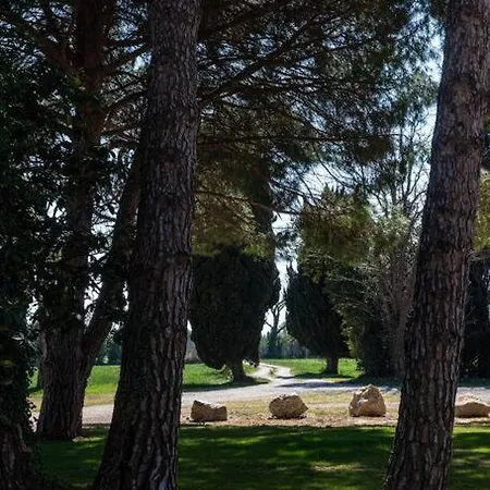 Mas Mandine, En Provence * Arles